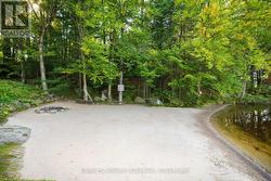 Volleyball and Firepit - 