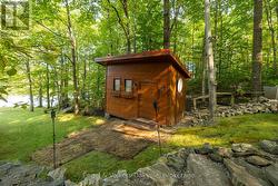Large Workshop Shed w/Electricity - 