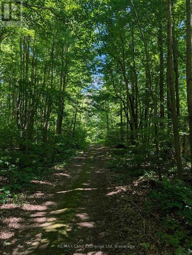 35 Sideroad 10A, South Bruce, ON 