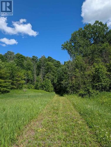 35 Sideroad 10A, South Bruce, ON 