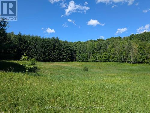 35 Sideroad 10A, South Bruce, ON 