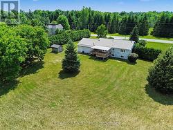 Beautiful mature trees and hostas - 