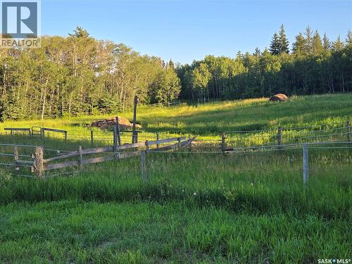 Mezzo Acreage, Duck Lake Rm No. 463, SK 