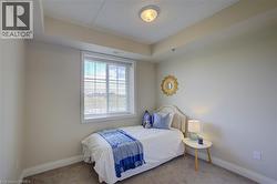 Neutral-toned walls complement plush carpeting - 
