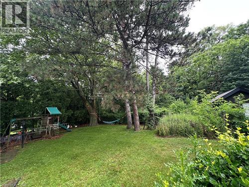Expansive green lawn surrounded by mature trees, offering a natural setting - 11 Wilmont Court, Hamilton, ON 