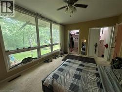 Room featuring expansive windows with exterior tree views - 