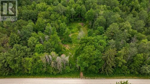3664 Hogback Road, Clearview, ON 