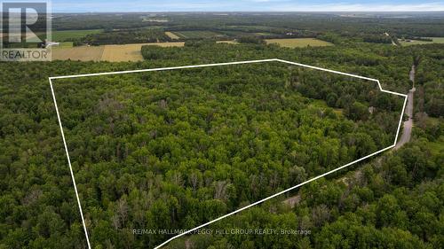 3664 Hogback Road, Clearview, ON 