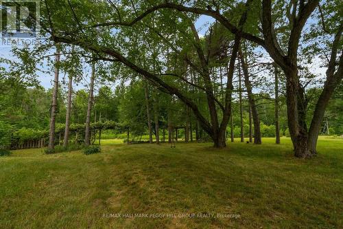 3664 Hogback Road, Clearview, ON 