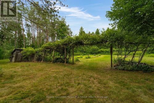 3664 Hogback Road, Clearview, ON 