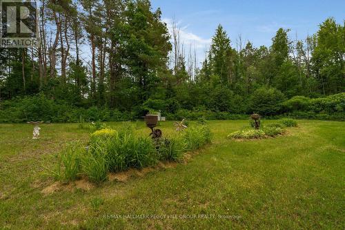 3664 Hogback Road, Clearview, ON 