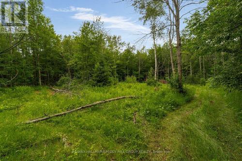 3664 Hogback Road, Clearview, ON 