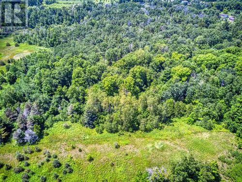 0 Teal Road, Quinte West (Murray Ward), ON 