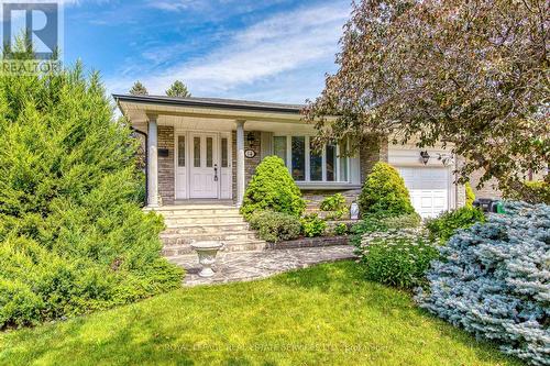14 GOVERNOR GROVE CRESCENT  Brampton, ON L6Y 1A6