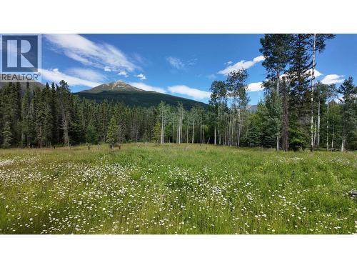 3190 Morrison Road, Valemount, BC 