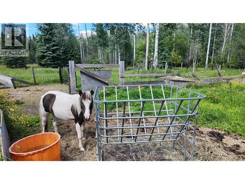 3190 Morrison Road, Valemount, BC 