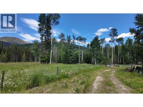 3190 Morrison Road, Valemount, BC 