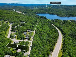Aerial View - 