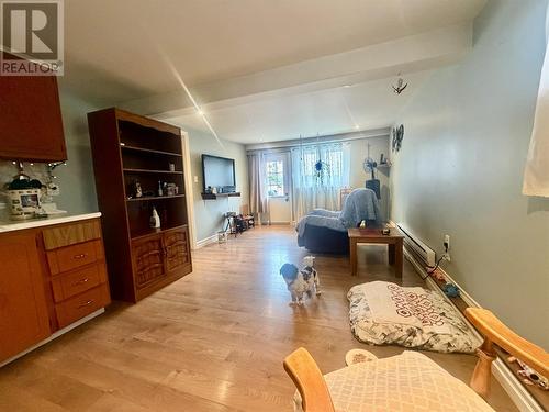 bachelor pad space. - 231-233 Creston Boulevard, Creston, NL - Indoor