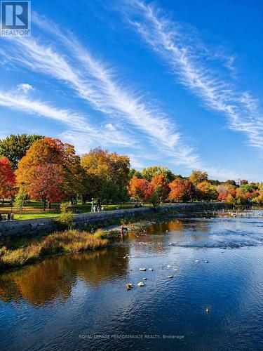 Strathcona Park and the adjacent Rideau River - 335 Osgoode Street, Ottawa, ON 