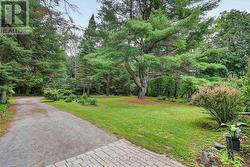 A lovely approach to the  entry from Heaslip Lane - 
