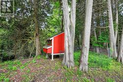 Your very own chicken coop! - 
