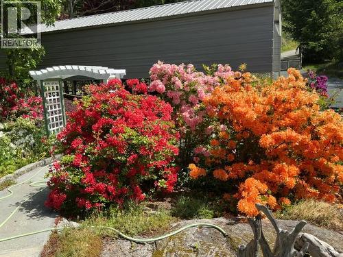 9573 Larson Road, Powell River, BC - Outdoor