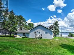 Back Yard - 