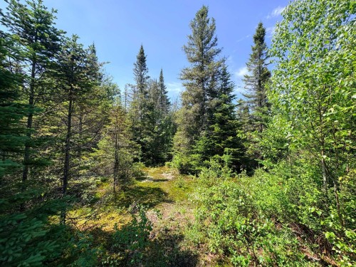 Lot - Rue Du Cerf, Val-David, QC 
