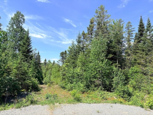 Other - Rue Du Cerf, Val-David, QC 