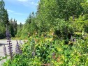 Lot - Rue Du Cerf, Val-David, QC 