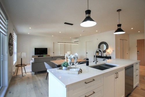 Vue d'ensemble - 201-800 Rue De St-Jovite, Mont-Tremblant, QC - Indoor Photo Showing Kitchen With Double Sink With Upgraded Kitchen