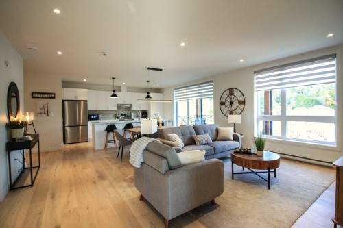 Vue d'ensemble - 201-800 Rue De St-Jovite, Mont-Tremblant, QC - Indoor Photo Showing Living Room