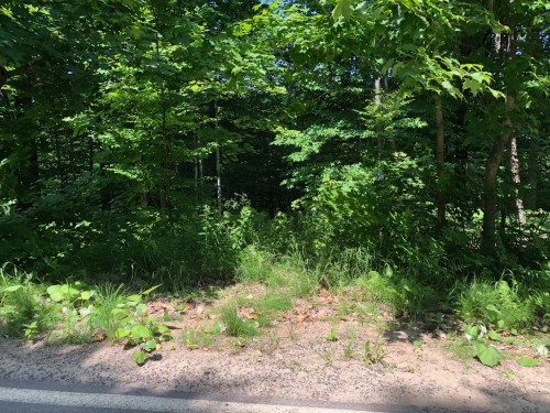 Terre/Terrain - Ch. Du Domaine, Saint-Adolphe-D'Howard, QC 