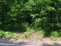 Terre/Terrain - Ch. Du Domaine, Saint-Adolphe-D'Howard, QC 