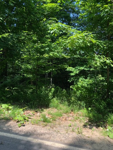 Terre/Terrain - Ch. Du Domaine, Saint-Adolphe-D'Howard, QC 