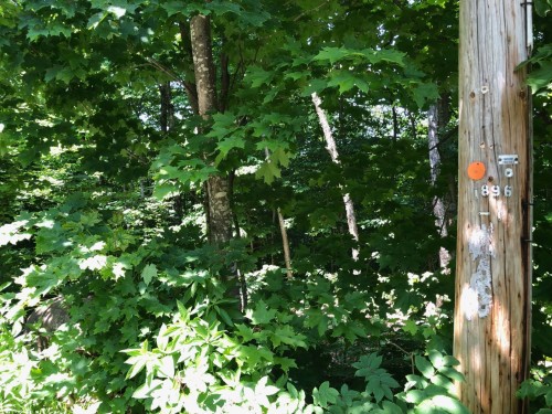 Terre/Terrain - Ch. Du Domaine, Saint-Adolphe-D'Howard, QC 
