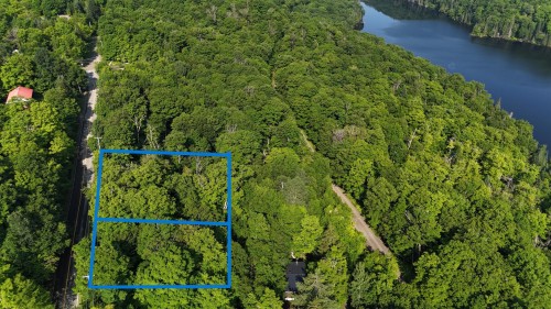 Terre/Terrain - Ch. Du Domaine, Saint-Adolphe-D'Howard, QC 