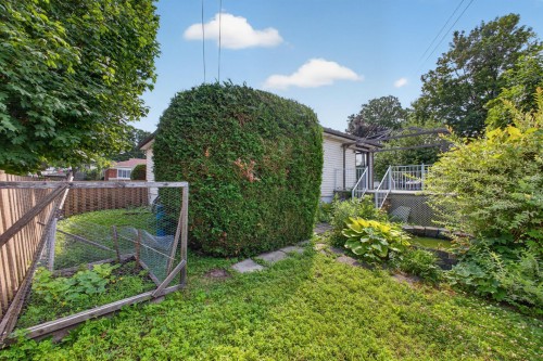 Courtyard - 988 18E Avenue, Laval (Fabreville), QC - Outdoor