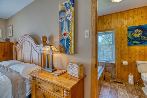 Chambre à coucher principale - 275 Ch. Du Mont-Loup-Garou, Sainte-Adèle, QC - Indoor