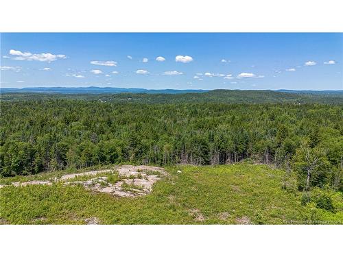 - Dolly Dr, Saint John, NB 