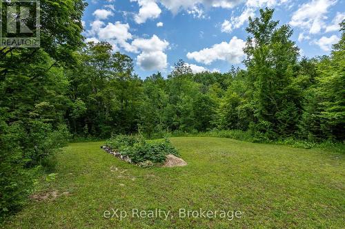 720232 Sideroad 20, Chatsworth, ON 