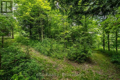 720232 Sideroad 20, Chatsworth, ON 