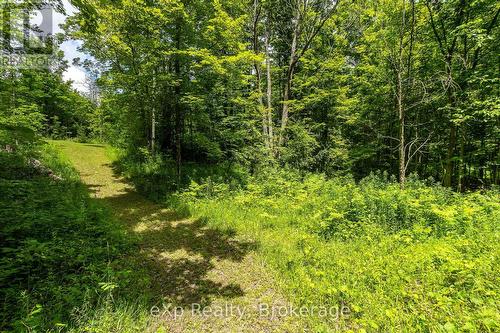 720232 Sideroad 20, Chatsworth, ON 