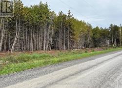 0 ROCKSPRINGS ROAD Elizabethtown-Kitley, ON K0G 1R0