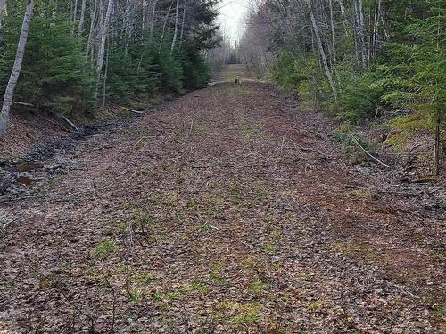 Vi Kolbec Road, Port Howe, NS 
