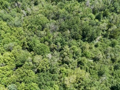 Lot C Highway 215, Bramber, NS 