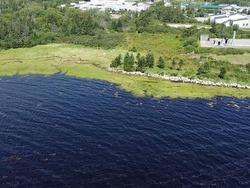 Lot Highway 330  Barrington Passage, NS B0W 2P0