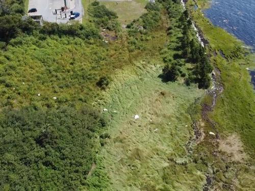 Lot Highway 330, Barrington Passage, NS 