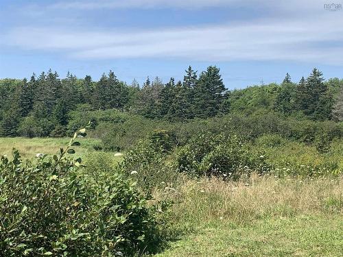 Lot Highway 330, Barrington Passage, NS 
